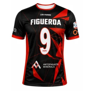 CAMISETA DEPORTES ANTOFAGASTA 2020